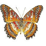Papilio Rumanzov><SPAN id=